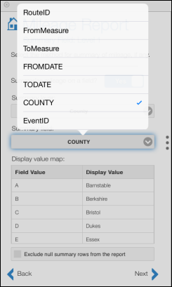 Choosing the summary field